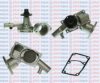 AQUAPLUS 85-6435 Water Pump